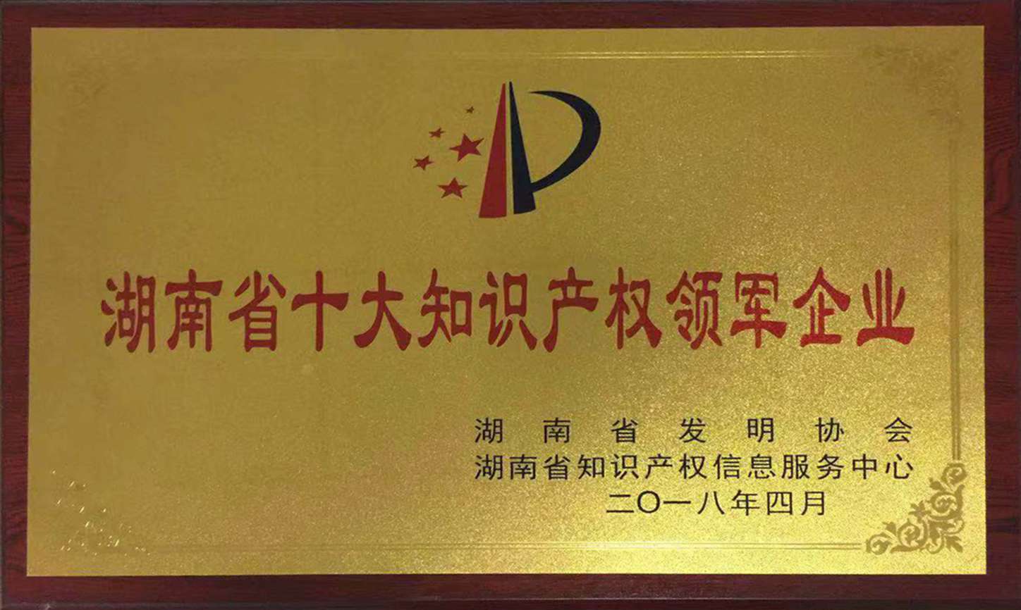 Top 10 Intellectual Property Leading Enterprises in Hunan Province (Zoomlion-Enviro)